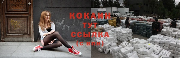 индика Балахна