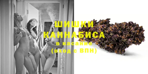 индика Балахна