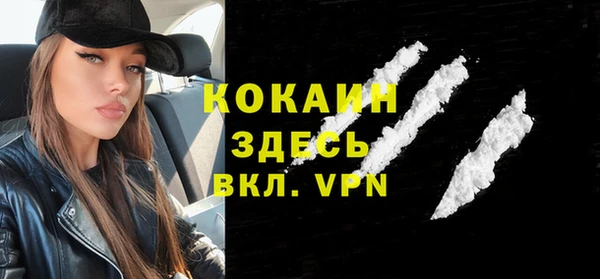 индика Балахна