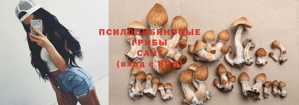 индика Балахна