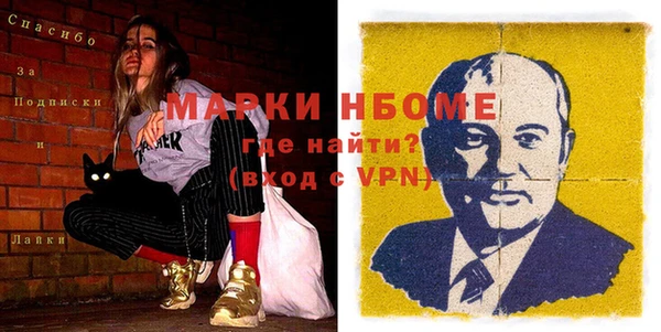 индика Балахна