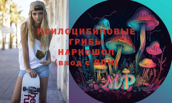 индика Балахна