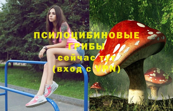 марки lsd Баксан
