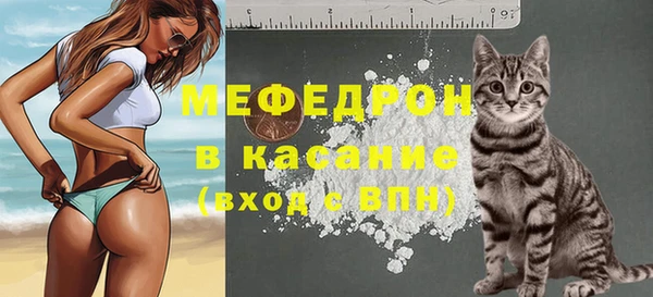 индика Балахна