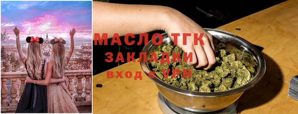 индика Балахна
